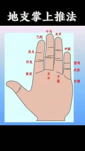手掌十二地支