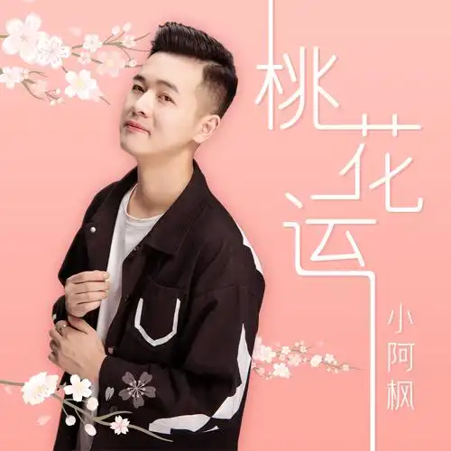 桃花运_小阿枫_高音质在线试听_桃花运歌词|歌曲下载_酷狗音乐
