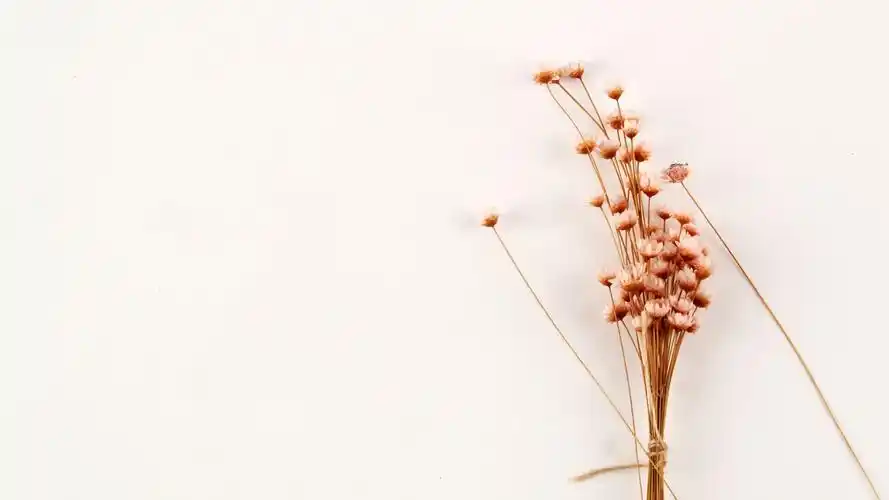 简约花束碎花背景图片