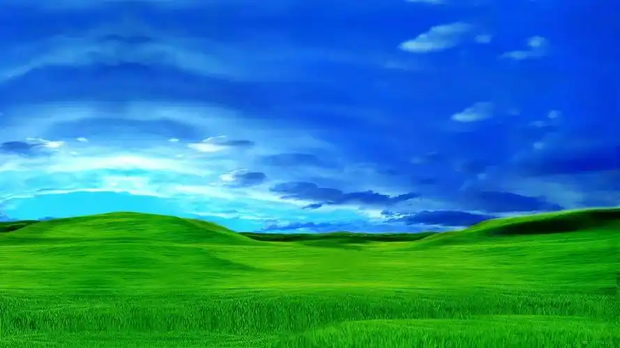 清新的风格 windows xp 桌面壁纸
