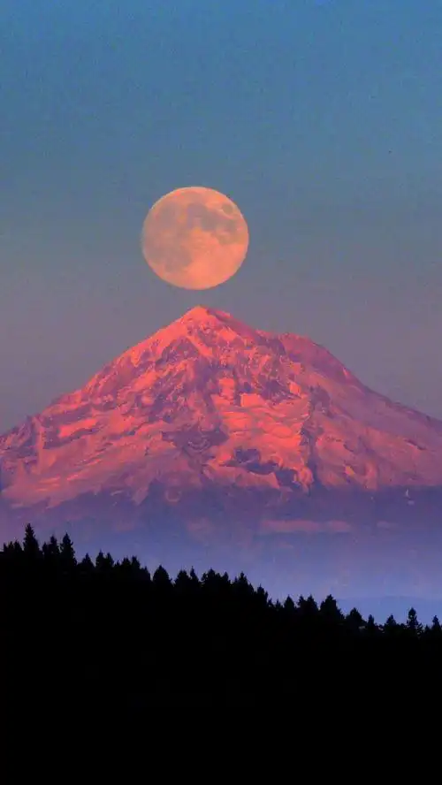 qq唯美意境背景皮肤_风景静物qq皮肤_我要个性网