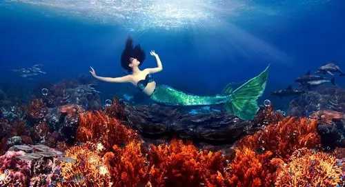 现实生活中的美人鱼