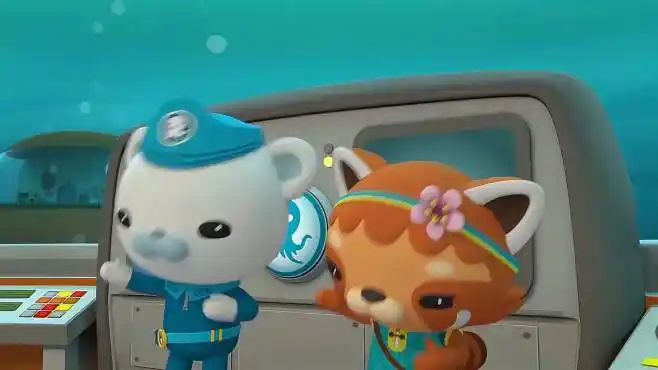 海底小纵队:今天来了新成员,名字叫小敏,大家一起了解海底生物-母婴