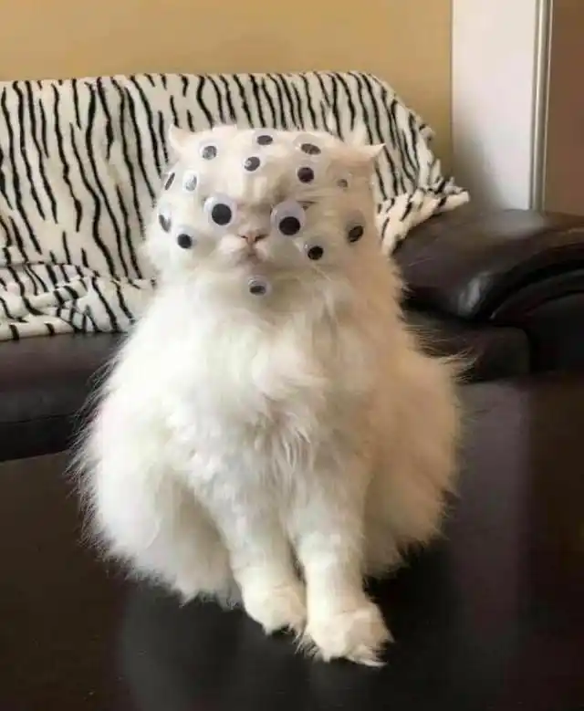 有事吗?人们拍到的50张最奇怪的照片