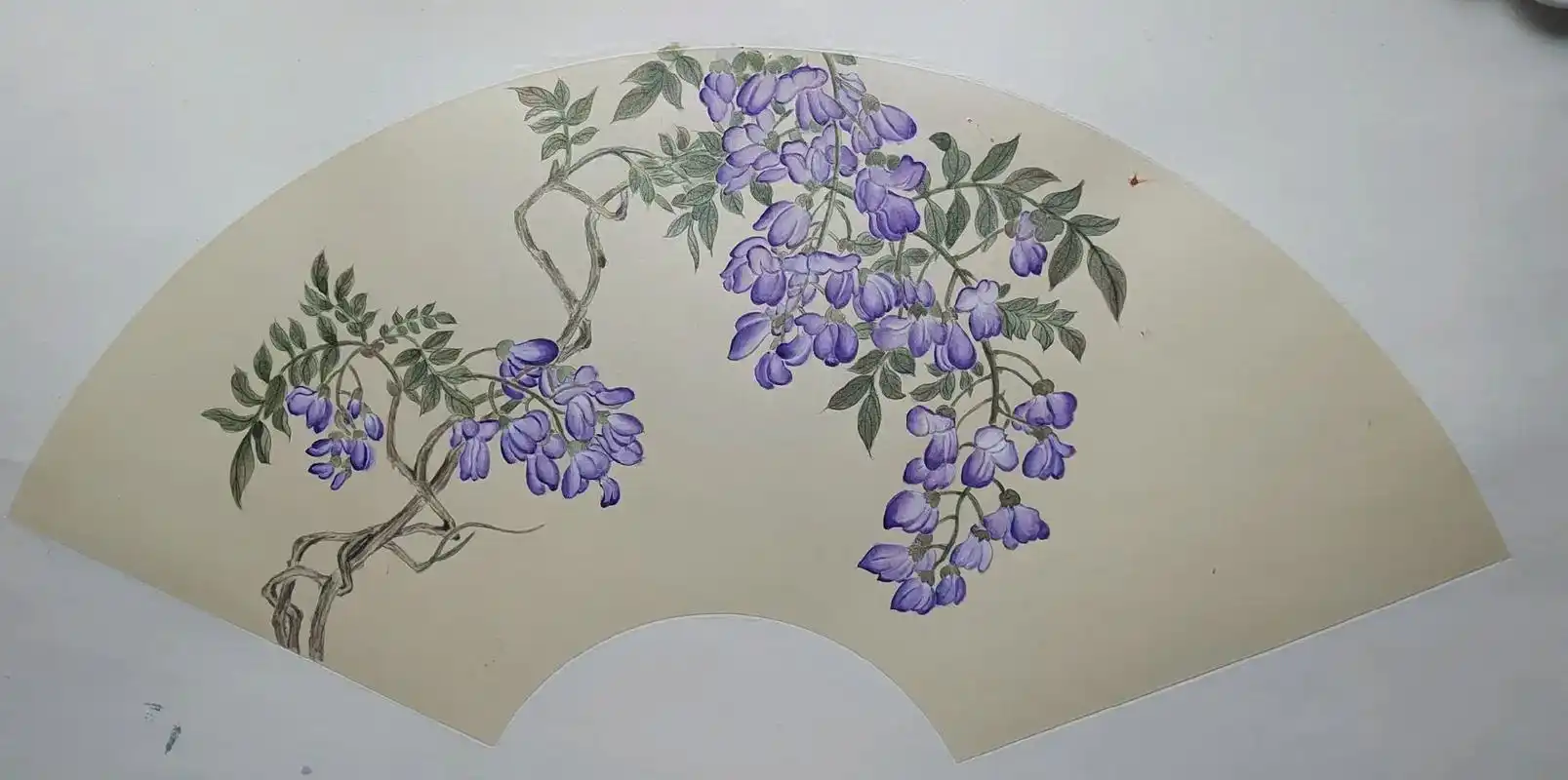 我的没骨画——扇面紫藤 - 抖音