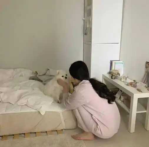 30岁单身女孩公开独居照火爆ins引百万围观一个人生活太爽了