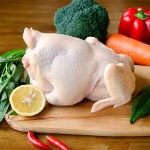 买1送1原品密之清田 土鸡老母鸡1kg 日龄500天 煲汤极鲜 林地散养