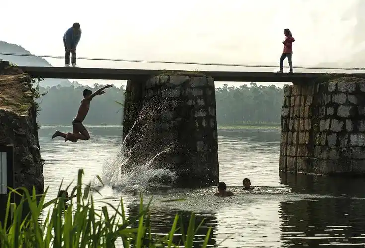 上一页 下一页 作品名称: 欢乐少年  作品描述: 戏水游泳是乡村少年