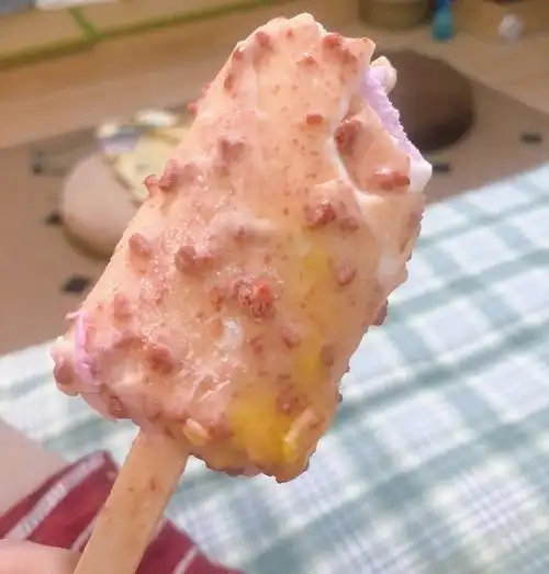 天这真是我吃过最好吃的雪糕