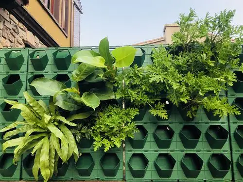 植物墙.生活中的一抹绿