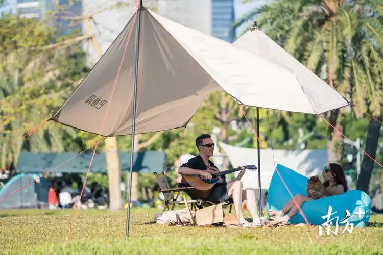2013年旅游业发展情况