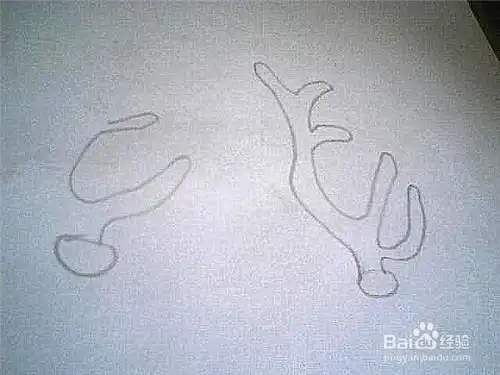 东北鹿茸简笔画
