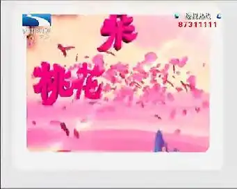 2015年3月27日湖北经视晚间广告