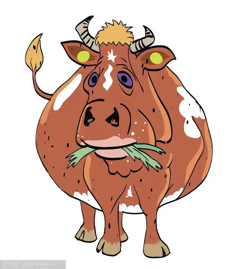 牛的卡通形象