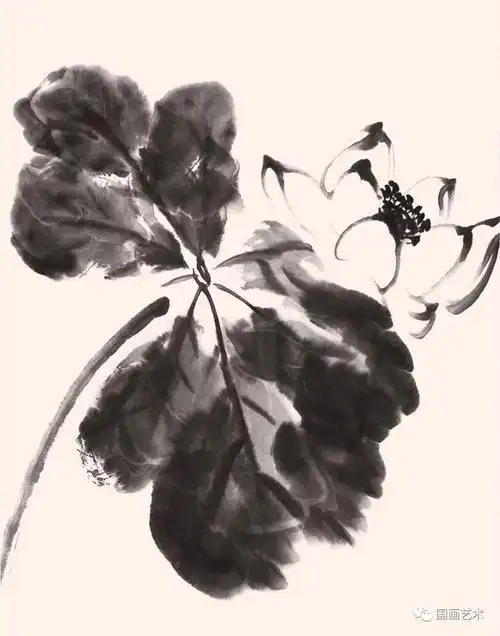 书画联盟丨写意荷花入门轻松学