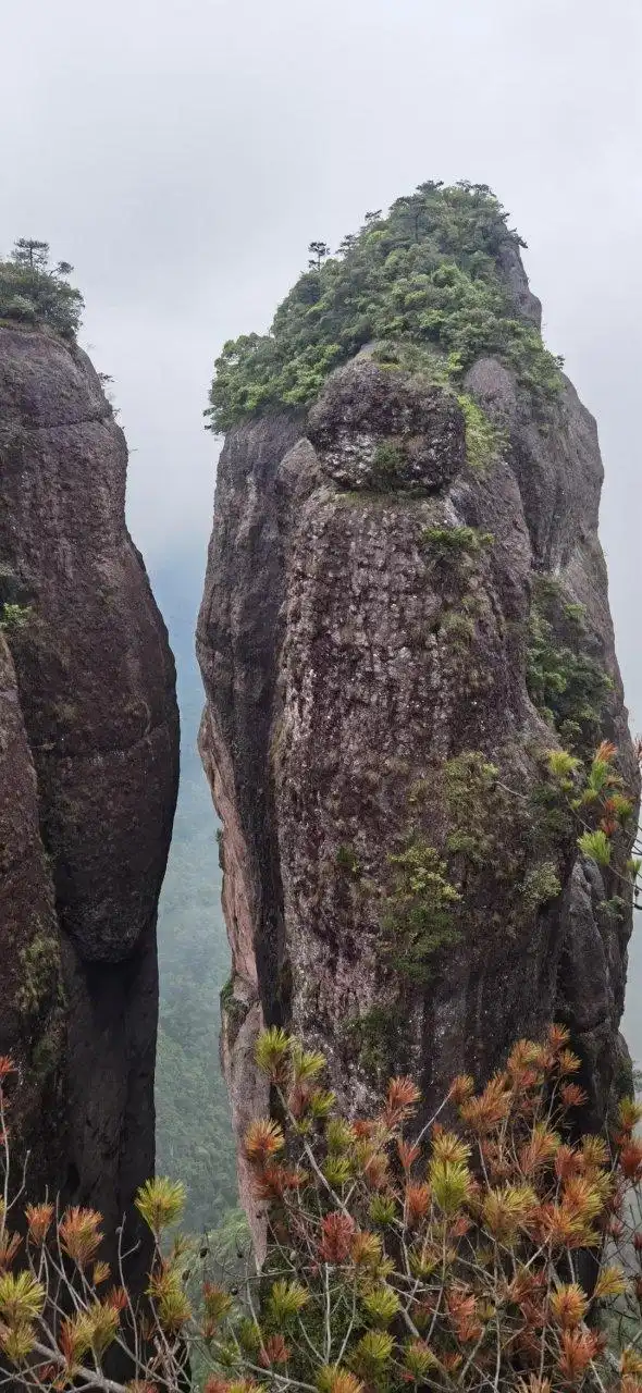 491,音乐  1,华语歌手艾辰《可不可以》