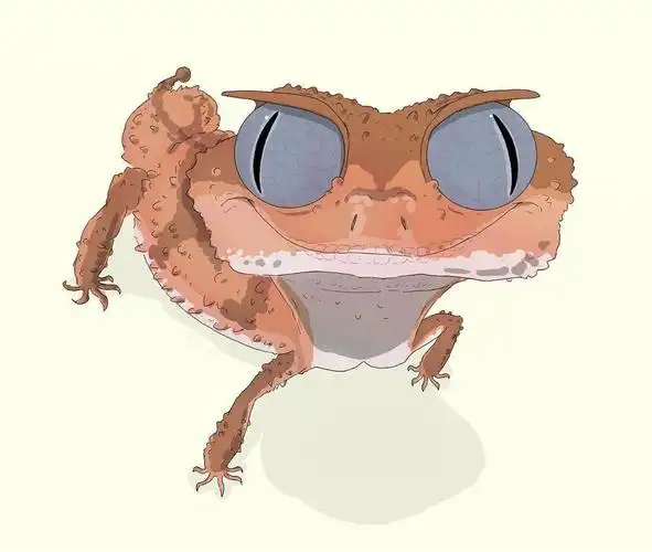 当豹纹守宫遇见艺术系"铲屎官",秒变造型百变的小可爱!