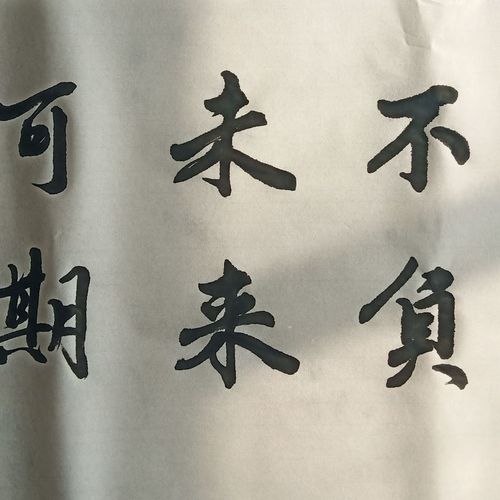 韶华不负 未来可期 书法毛笔字定制定写手写真迹励志格言名言警句