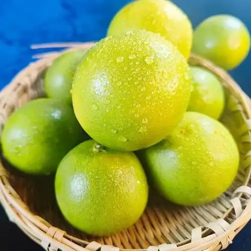 正宗海南琼中绿皮橙新鲜热带水果特产皮薄多汁手剥橙一级果精选品质