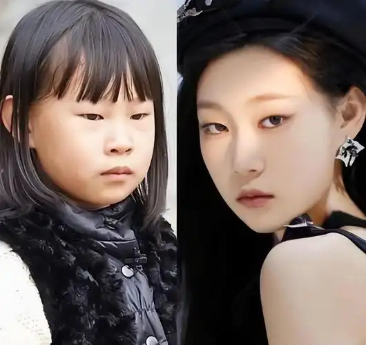 回顾小沈阳之女沈佳润曾因长相太丑被骂像猴如今逆袭撞脸韩星