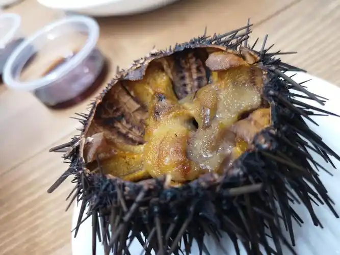 我来了份烤海胆,除了一点烤焦味道没别的.还是生吃味鲜.