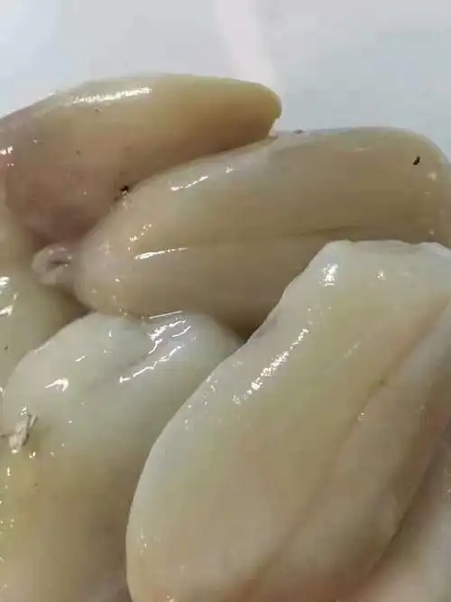 东山岛的野生海鲜墨鱼蛋的家常做法墨鱼蛋怎么做好吃墨鱼蛋的营养价值