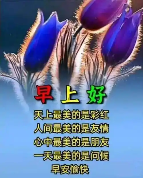 唯美朋友早上好祝福语图片大全免打字2021夏日清晨友谊早安问候语图片