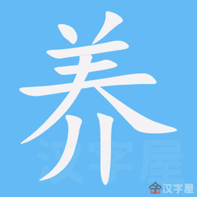 养字的笔顺笔画顺序