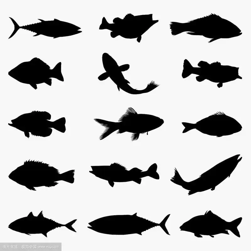 鱼的剪影2