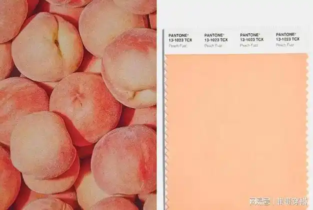 2024春夏流行色来了这3个颜色时髦高级谁穿谁美