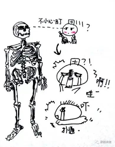 漫画解剖用的尸体是学校发还是自己带