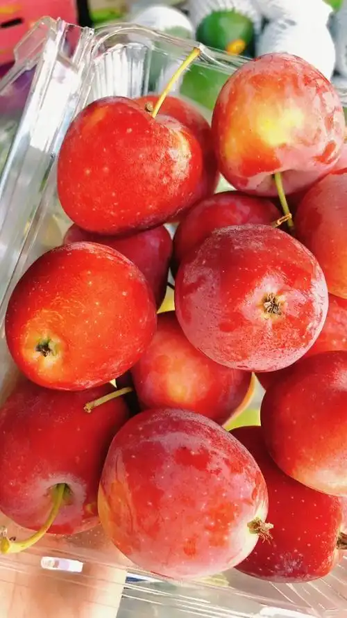 香 脆 爽口 新疆香槟果新鲜到货啦6015