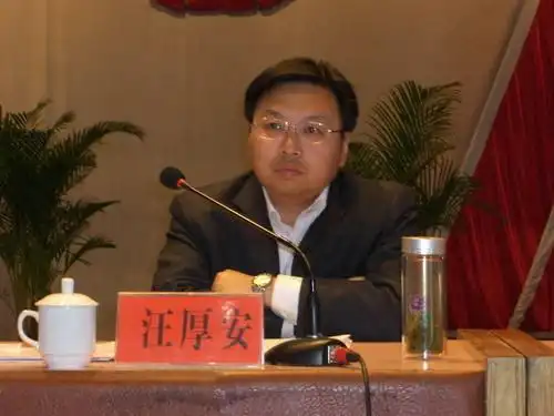 汪厚安 (政治人物)