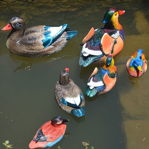 庭院假山青蛙鱼缸鱼池塘装饰浮水鸳鸯小黄鸭天鹅乌龟摆件户外花园