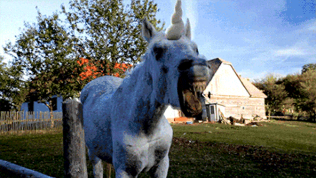 马喷火特效张嘴gif动图_动态图_表情包下载_soogif