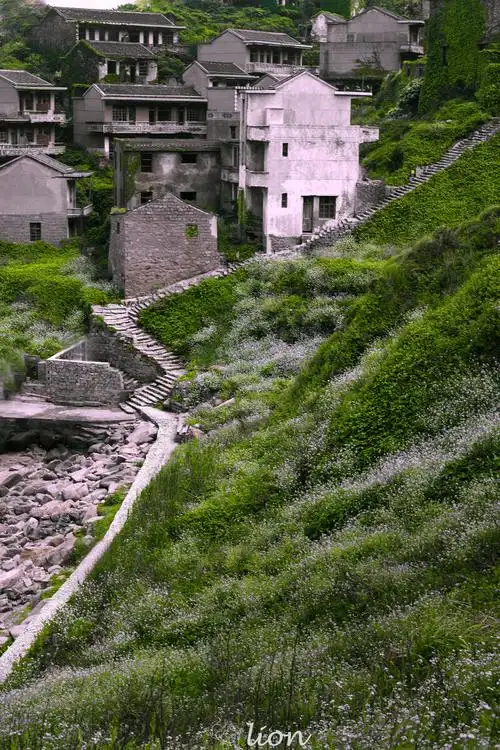 无人村组图拍摄于舟山的一个无人村