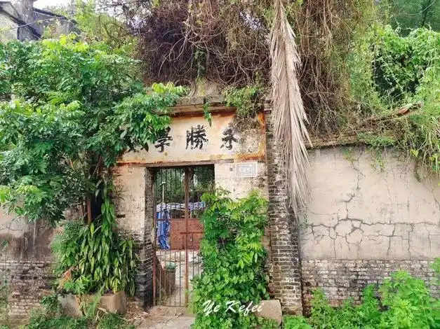 无人村里被杂草藤蔓包围的废墟原来是百年老学堂