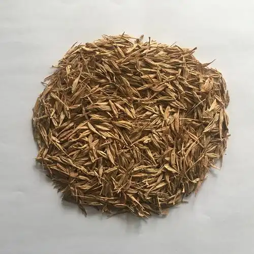 颜轲种业供应复叶槭种子春播绿化工程种子