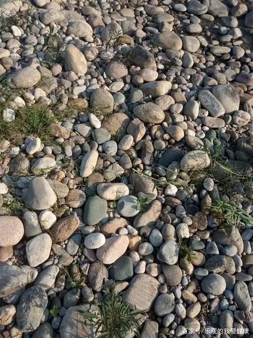 眷恋河流的一块石头