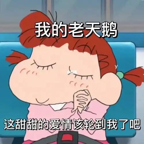 我又又又有新的表情包了!你确定不来找我聊天嘛