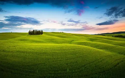 美丽的草原风景清新怡人电脑桌面壁纸图片