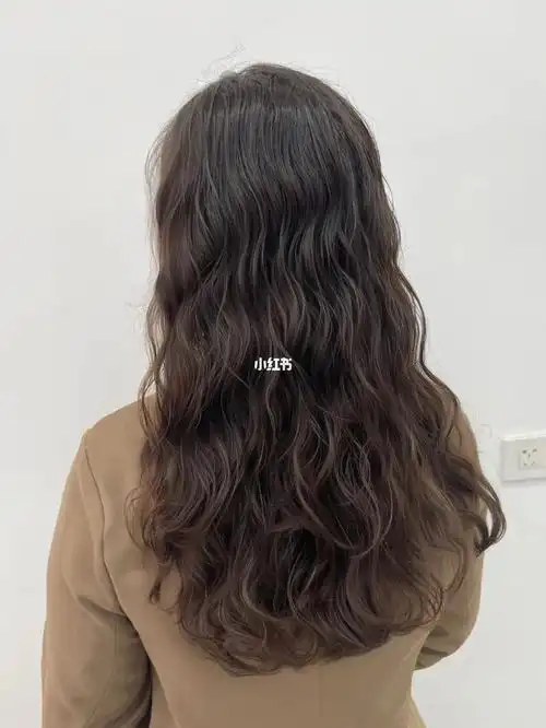 木马卷的形状很像木马,故名木马卷样子小巧可爱,很