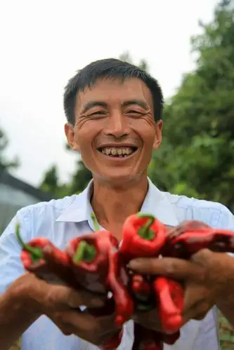 丰收的红辣椒 开怀的大笑