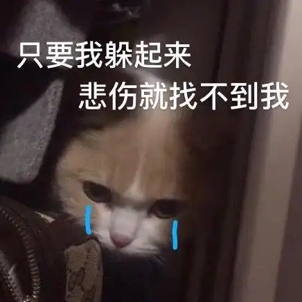 躲起来宋民国表情包 - 躲起来宋民国微信表情包 - 躲起来宋民国qq表情