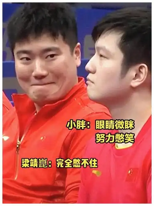 马龙的人气和影响力不可忽视,梁靖崑和樊振东的表情也成为了亮点.