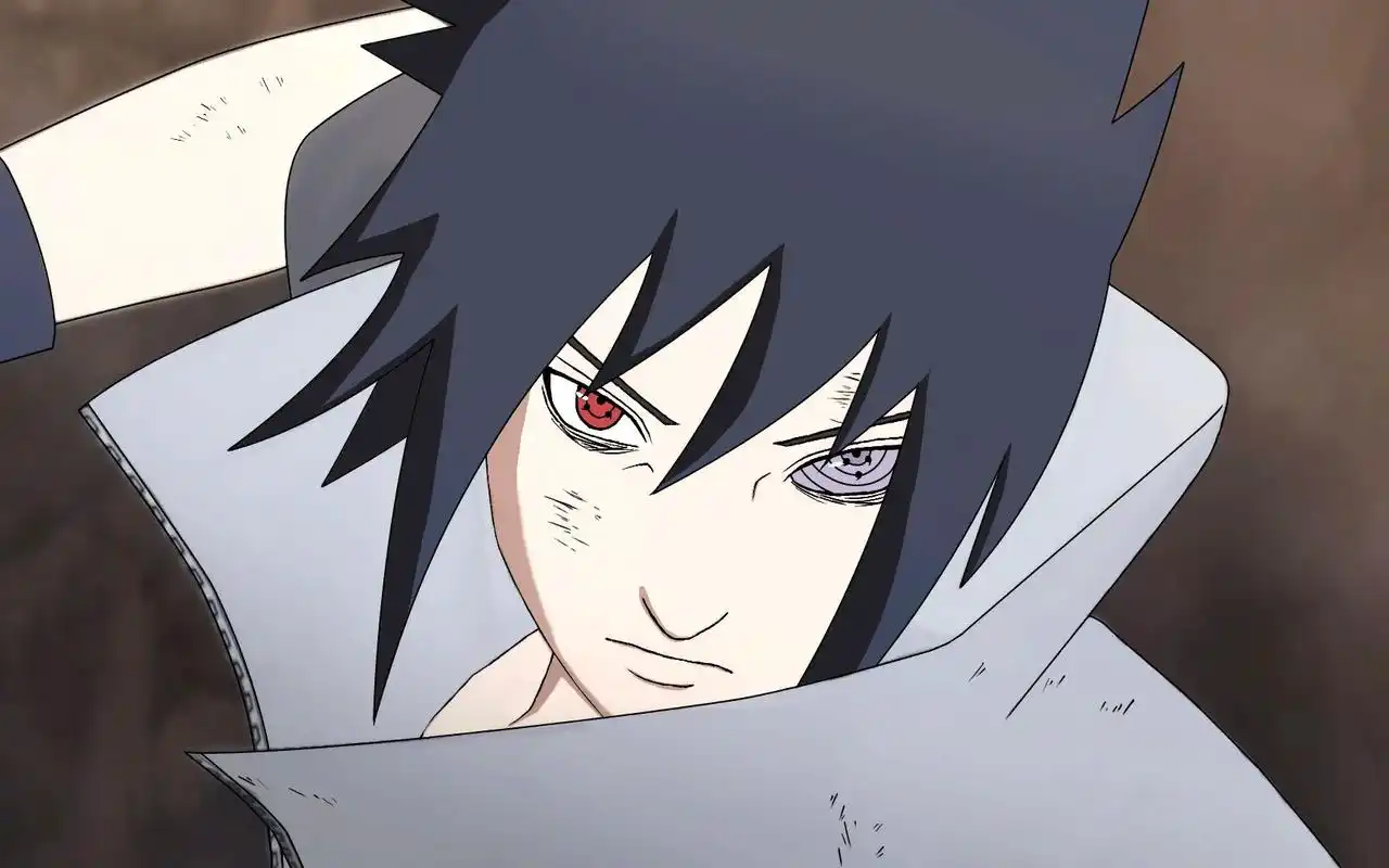 真正的轮回眼是写轮眼的叠加力量,所以佐助和斑爷的轮回眼与长门和