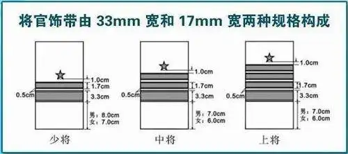 海军袖章军衔如何识别