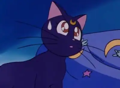 美少女战士黑猫露娜