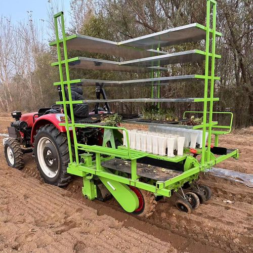 大型蔬菜移栽机轻松一天三十亩地 菜花白菜西红柿辣椒移栽插秧机