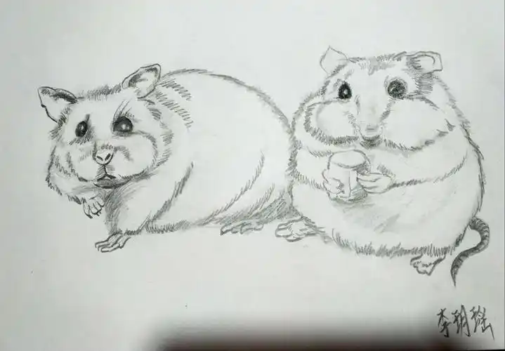 2018年秋季班李玥瑶同学作品展